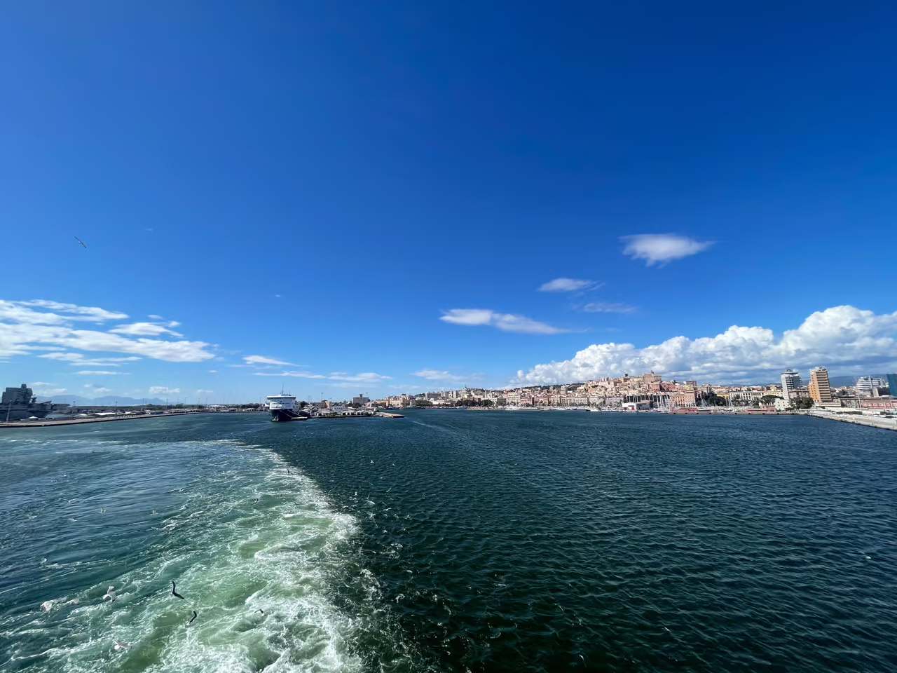 Groß (IMG_4104).avif