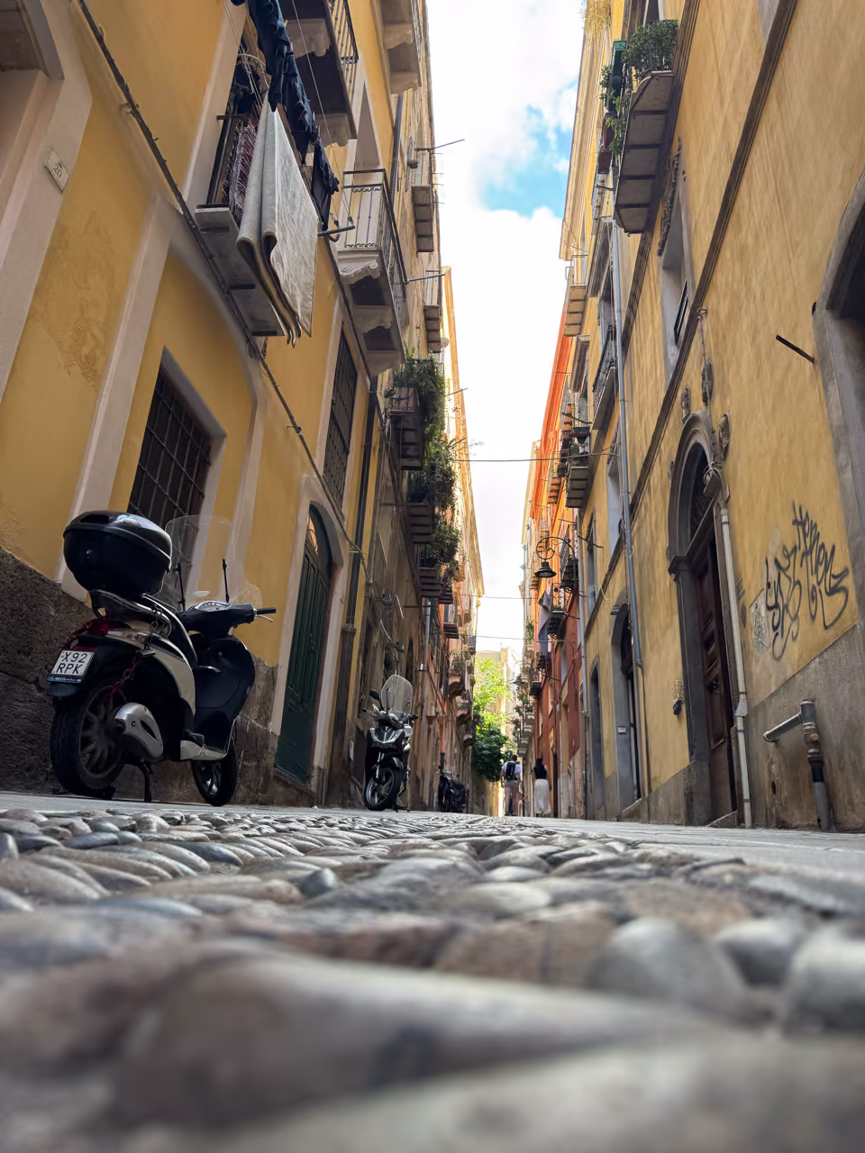 Groß (IMG_9390).avif