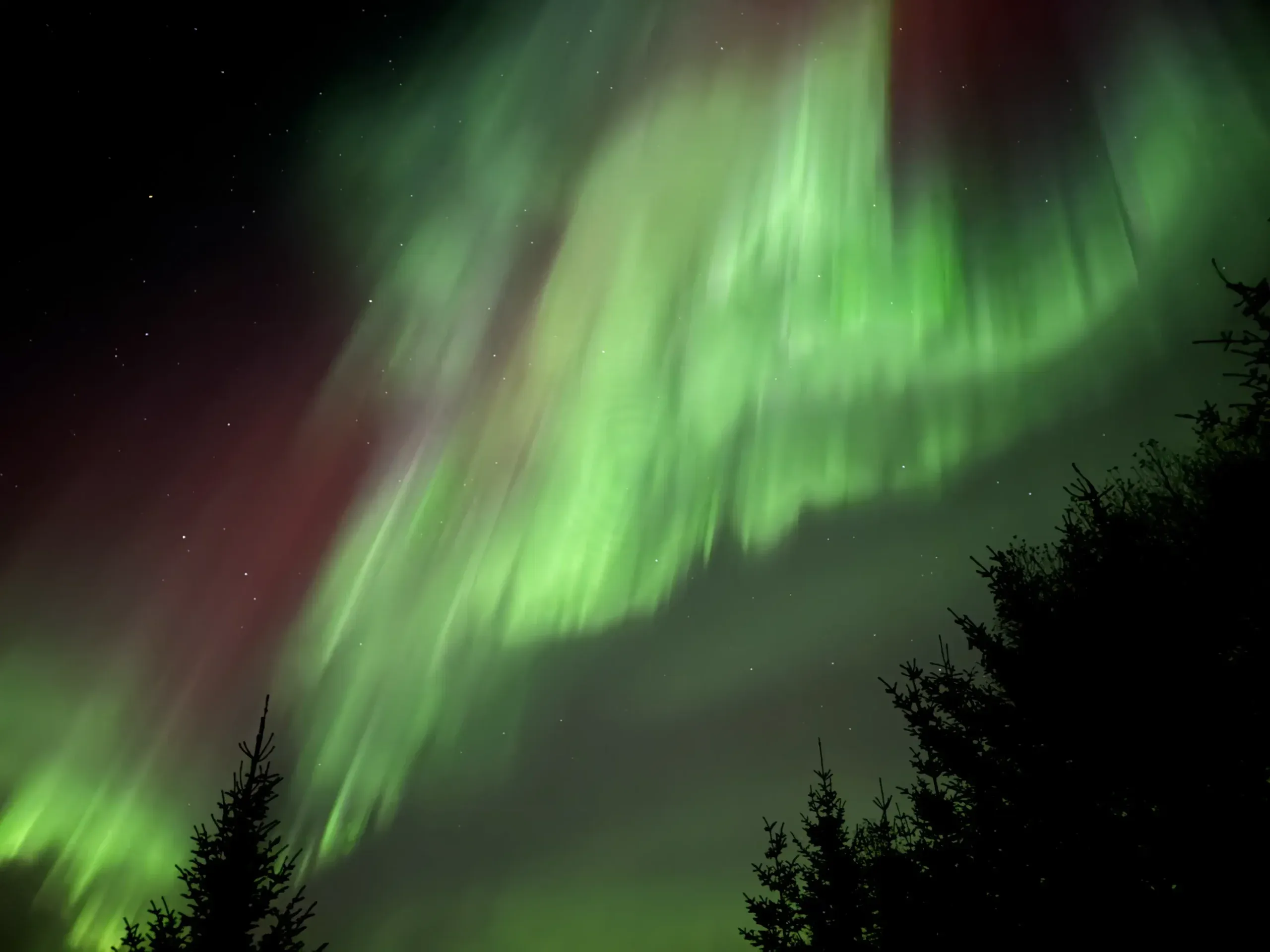 Herbstliche Nordlichter in Norwegen