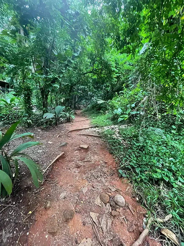 Weg zum Sauzier Wasserfall