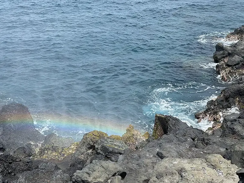 Souffleur de Saint-Leu