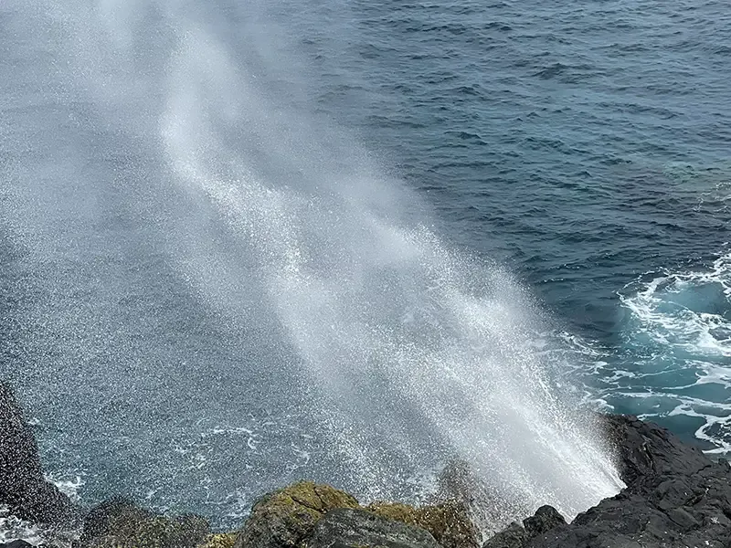 Souffleur de Saint-Leu