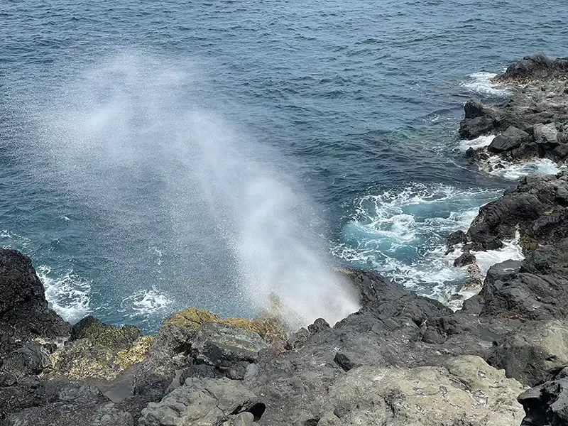 Souffleur de Saint-Leu