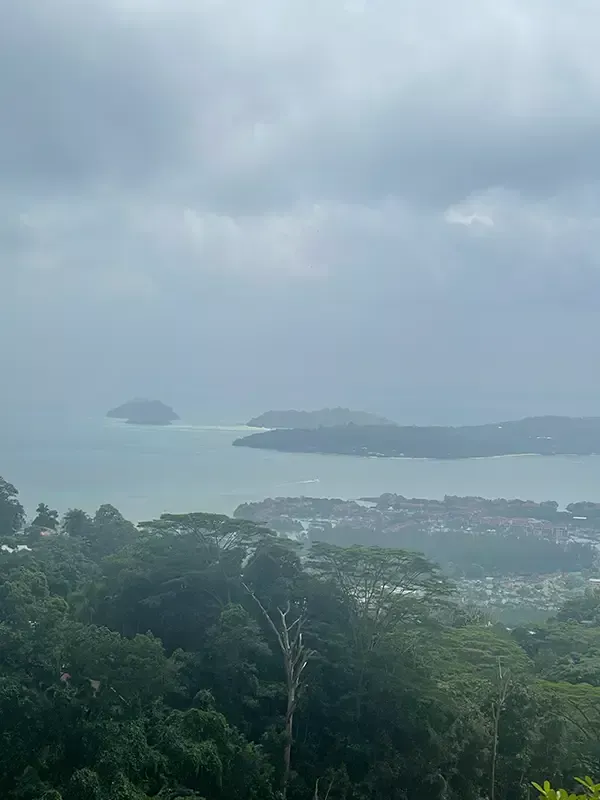 Seychellen Ausblick Teeplantage